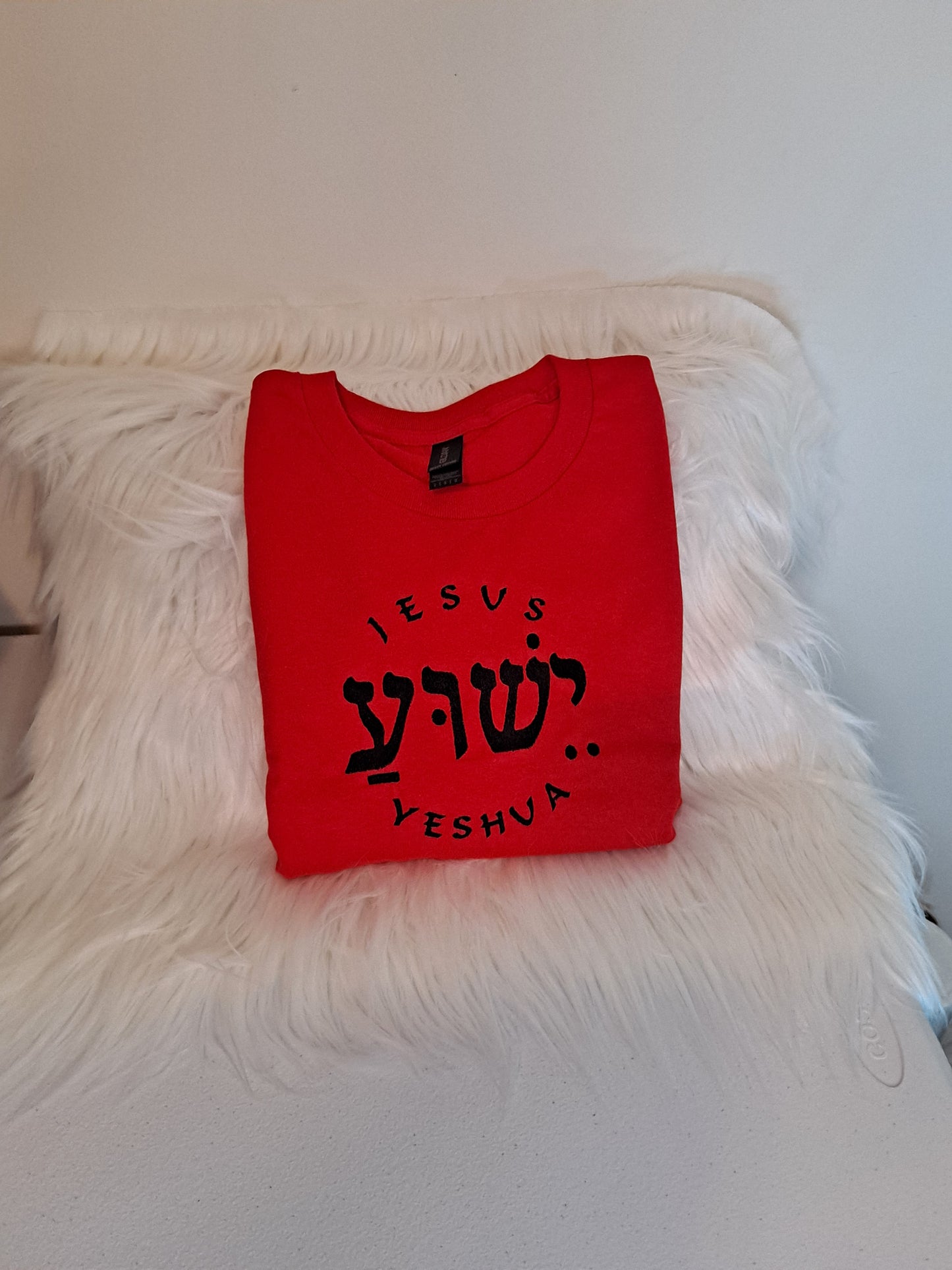 Jesus , Yeshua Hebrew text embroidered on T Shirt